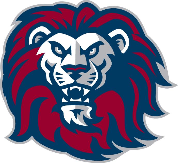 Loyola Marymount Lions 2001-Pres Alternate Logo v6 iron on transfers for clothing